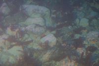 
DSC00066